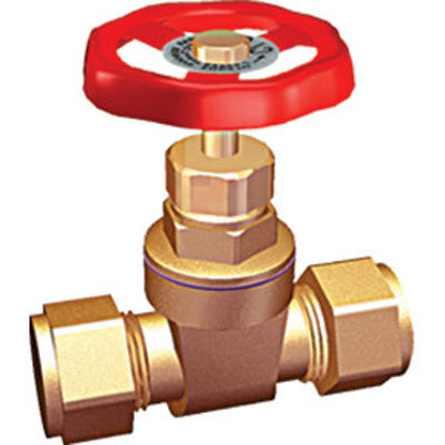 Picture of 22mm GATE VALVE (BS5154)