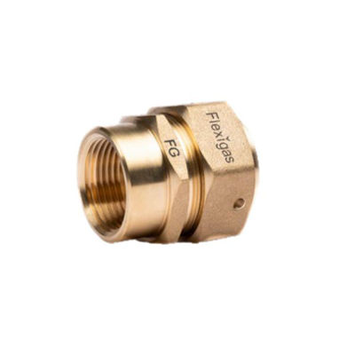 Picture of Flexigas - DN32  x 1 & 1/4" Female BSP