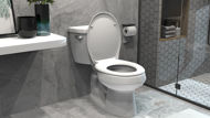 Picture of KORONA SOFT CLOSE TOP FIX TOILET SEAT 1.5kg PP