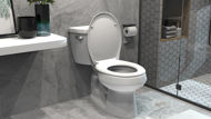 Picture of SOFT CLOSE TOP FIX  TOILET SEAT 1.5kg PP. STAINLESS STEEL HINGE WITH PLASTIC COVER.  